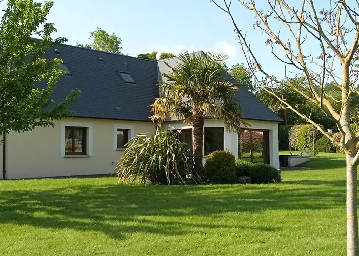 Anémone 14